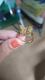 anillo de acero quirurgico muy bonito