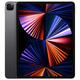 Apple 12.9 iPad Pro M1 5th Gen Wi-Fi 256GB Space Gray
