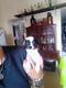Chihuahua disponible ,macho 